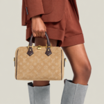 Louis Vuitton Speedy Bandoulière 25